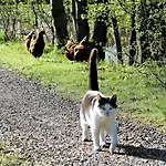 Rodkaergard Frühstückspension Kerteminde