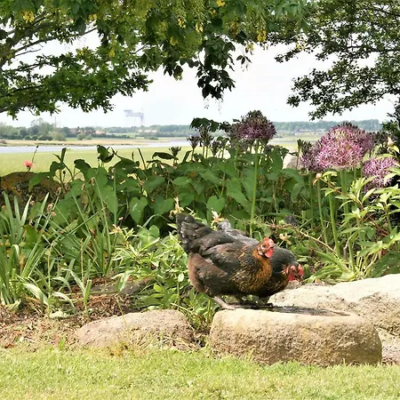 Bed and breakfast Rodkaergard