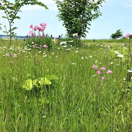 Rodkaergard Frühstückspension