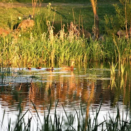 Rodkaergard Kerteminde