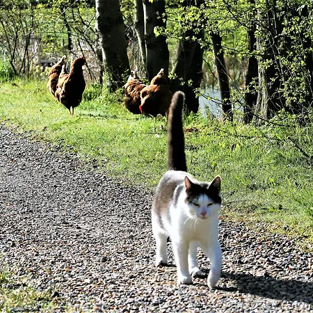Rodkaergard Frühstückspension Kerteminde