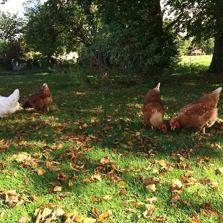 Frühstückspension Rodkaergard Kerteminde