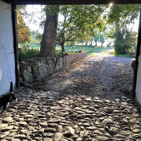 Rodkaergard Kerteminde