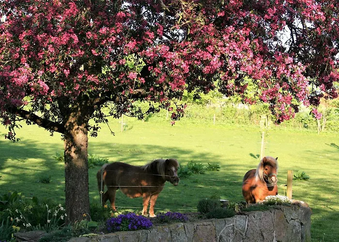 Bed & Breakfast Rødkærgård Kerteminde